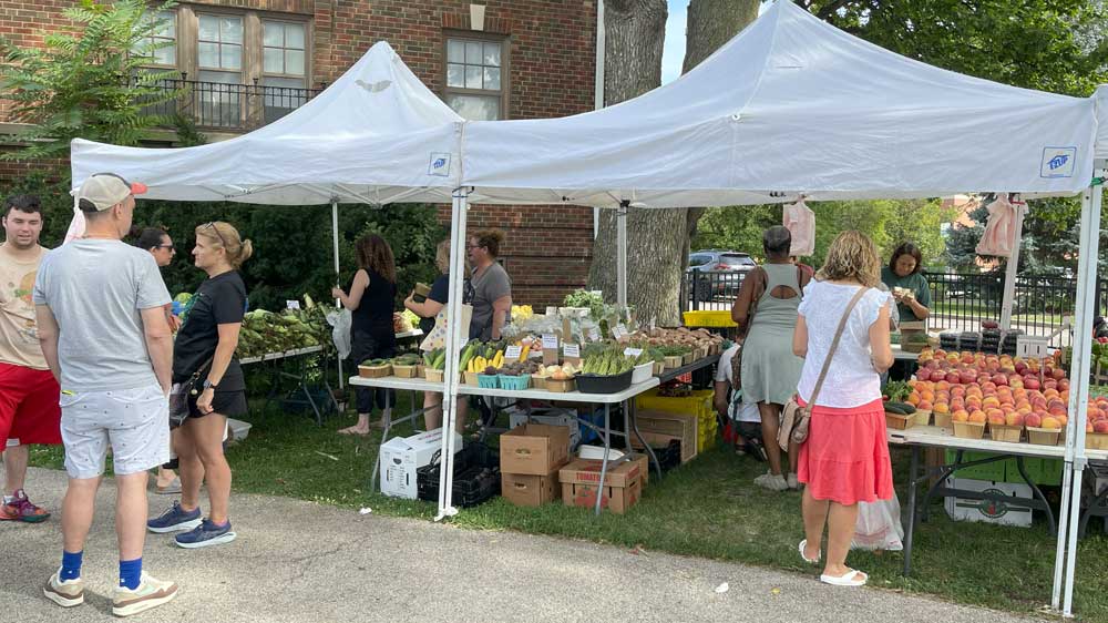 outdoor scene at the market