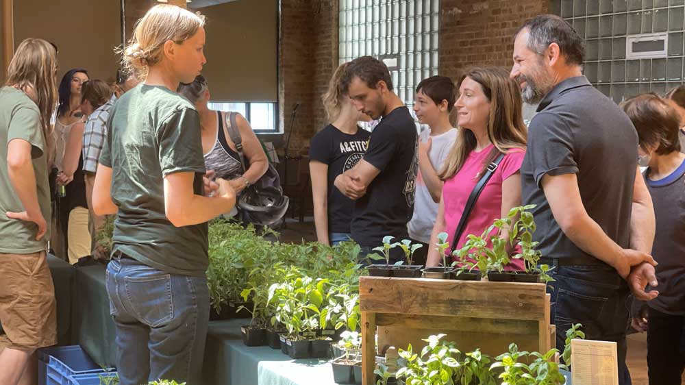 indoor market plant sale